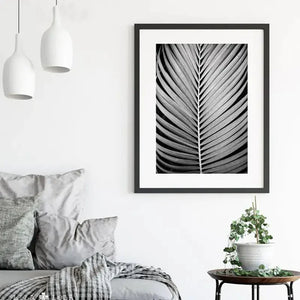 Chic Monochrome Botanical Wall Art Rberyl