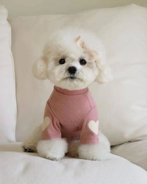 Chic Embroidered Pet Sweater Rberyl