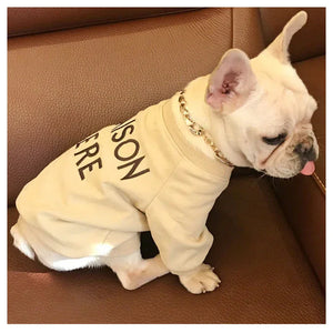Pet Parent Cotton Embroidered Sweater Rberyl