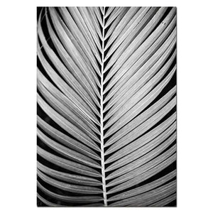 Chic Monochrome Botanical Wall Art Rberyl