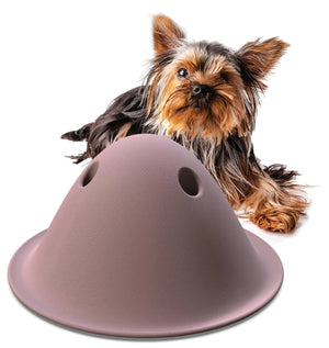 Petex Bowly | Premium Strength Dog Play Toy | Fits All Activity Levels (Pink Small) Rberyl