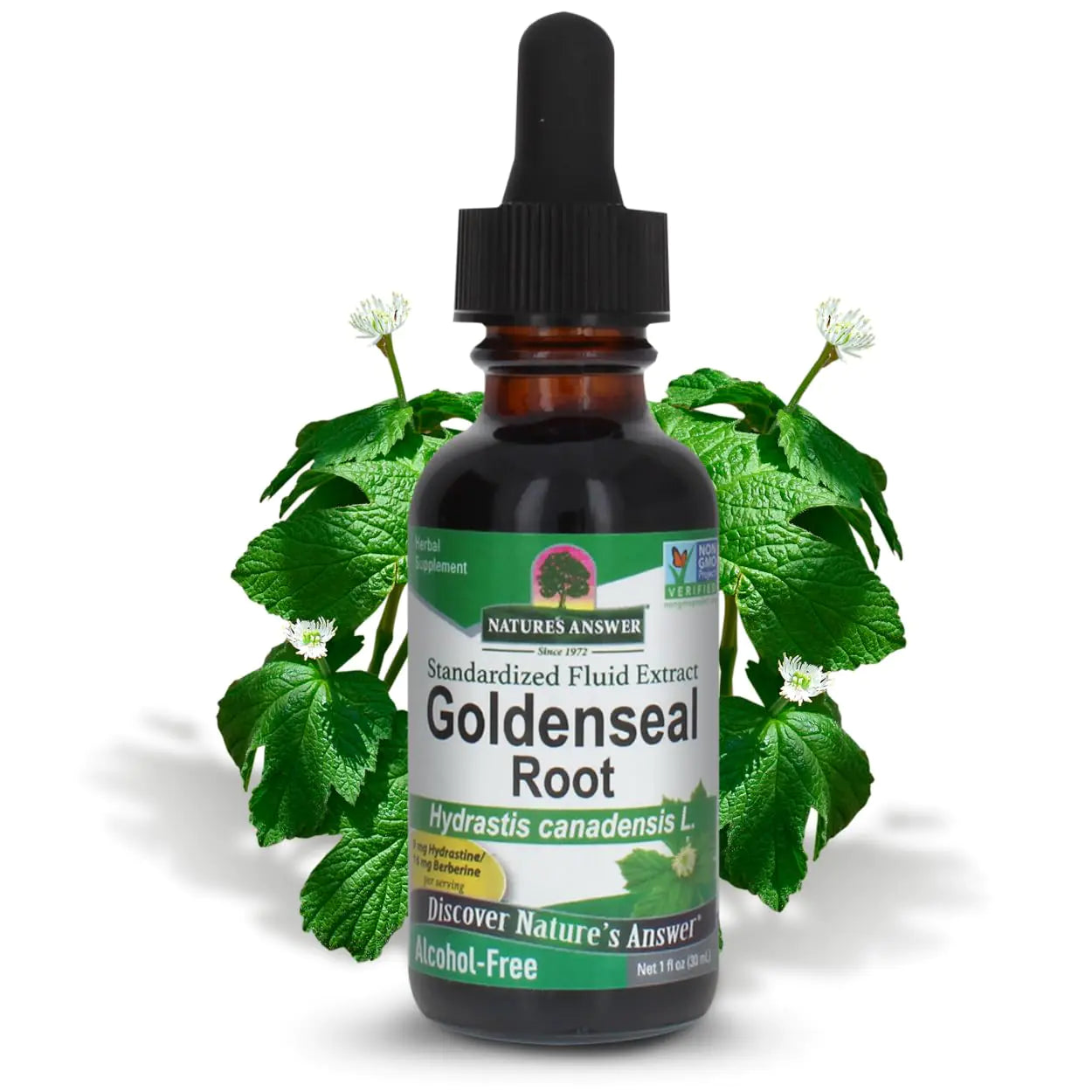 Goldenseal Root Extract | Immune Boost | Gluten-Free & Alcohol-Free 1oz