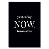 Chic Monochrome Botanical Wall Art