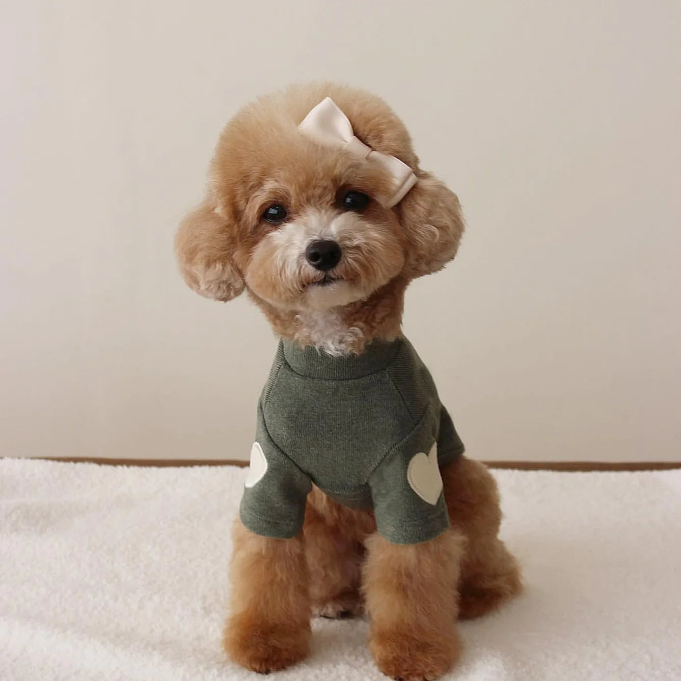 Chic Embroidered Pet Sweater