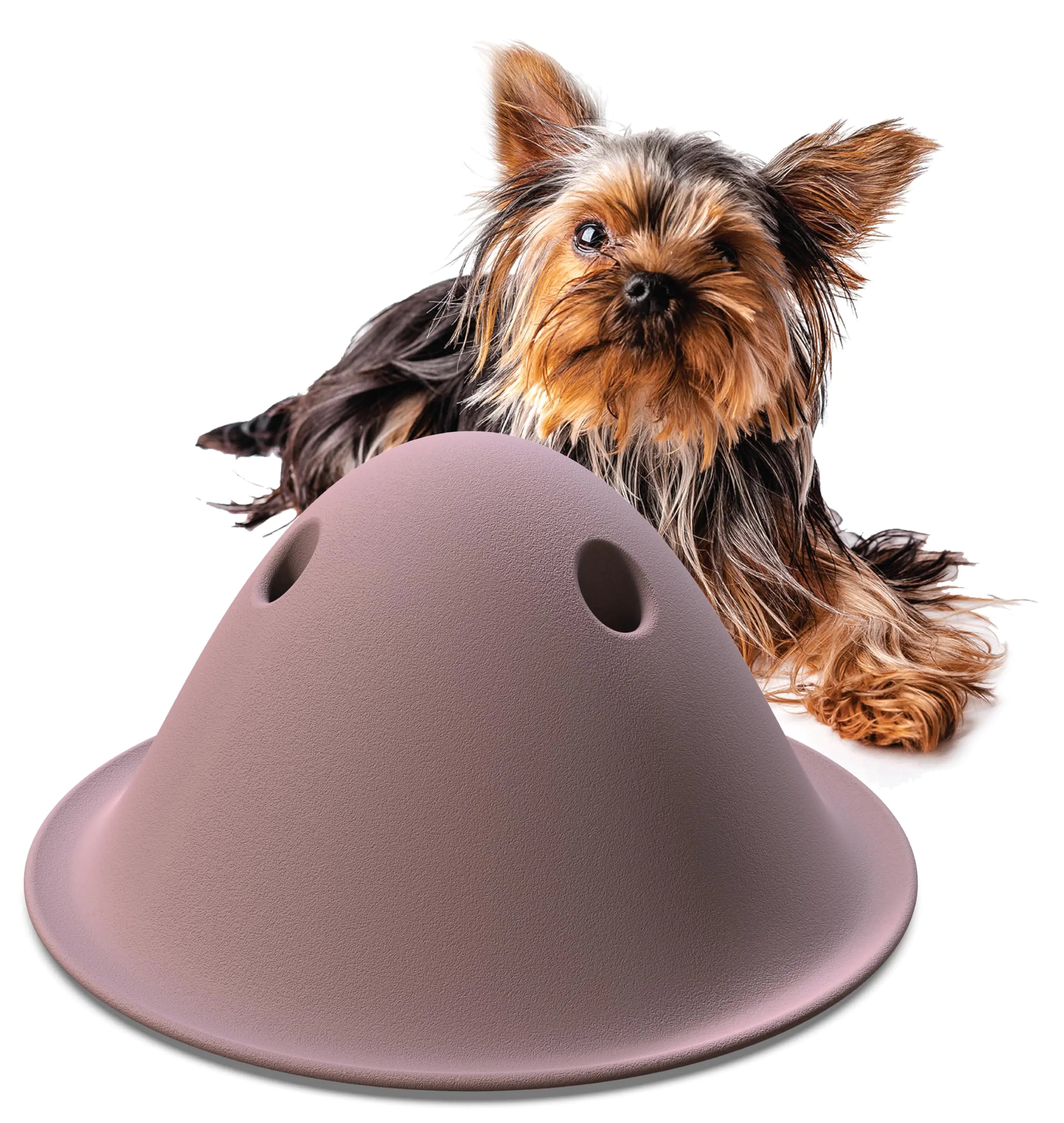 Petex Bowly | Premium Strength Dog Play Toy | Fits All Activity Levels (Pink Small)