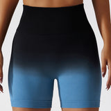 Seamless Active Fitness Shorts