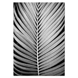 Chic Monochrome Botanical Wall Art