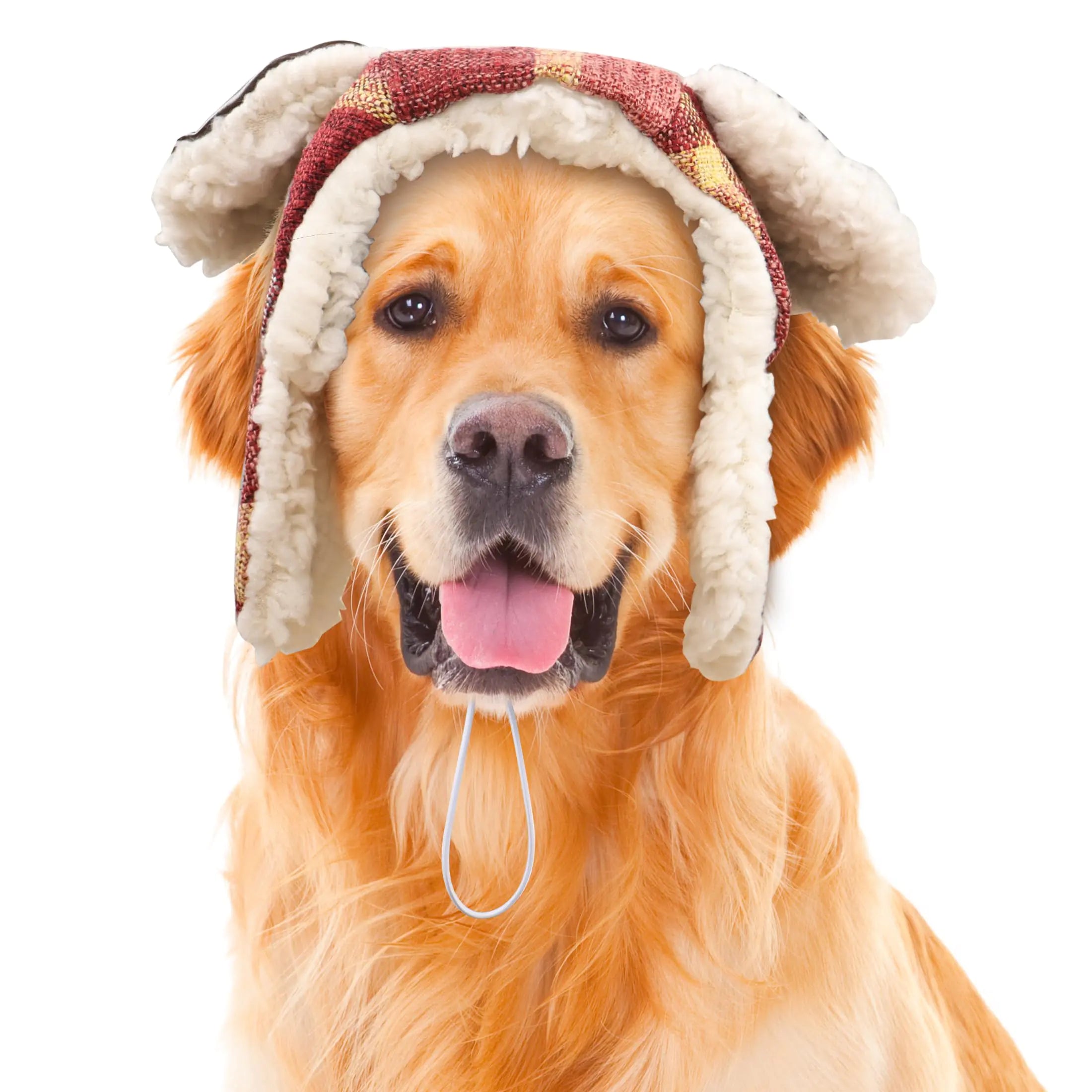 Cozy Canine Aviator Cap with Ear Flaps